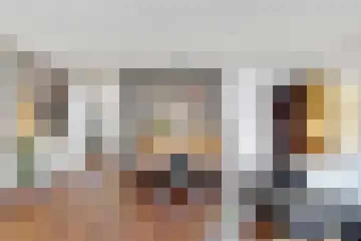 Astersingel 70 Berkel en Rodenrijs thumbnail 12