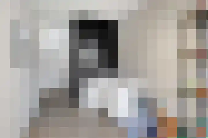 Astersingel 70 Berkel en Rodenrijs thumbnail 32