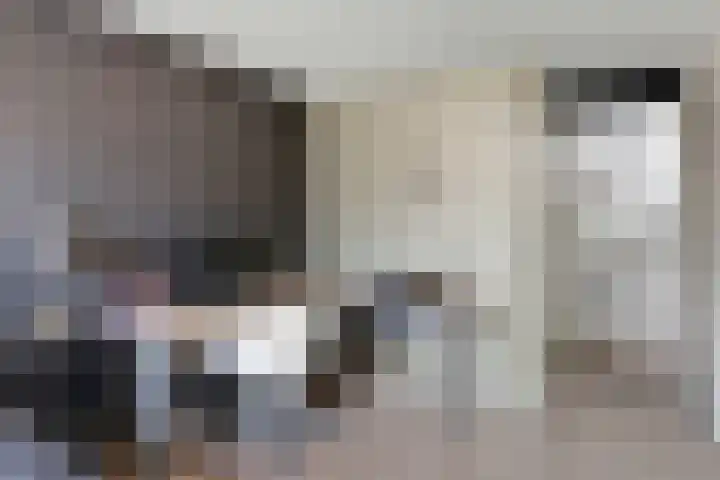Astersingel 70 Berkel en Rodenrijs thumbnail 34