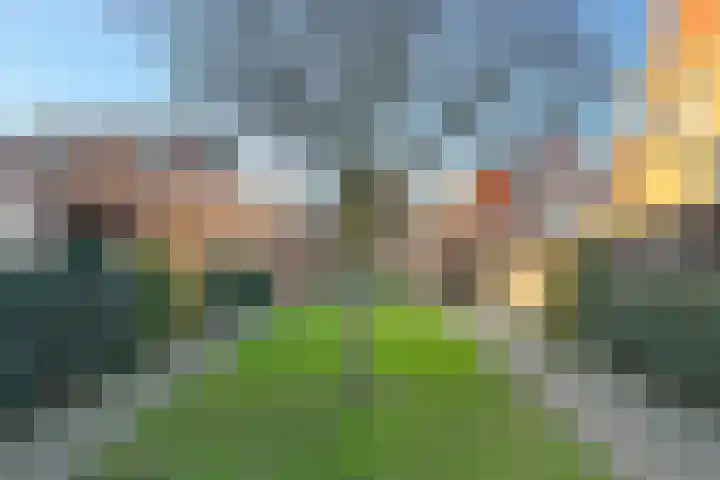 Astersingel 70 Berkel en Rodenrijs thumbnail 44