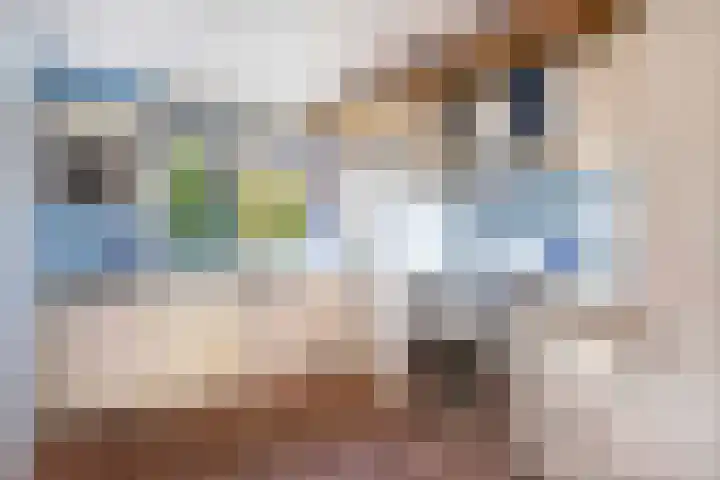 Astersingel 80 Berkel en Rodenrijs thumbnail 14