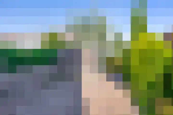 Astersingel 80 Berkel en Rodenrijs thumbnail 17