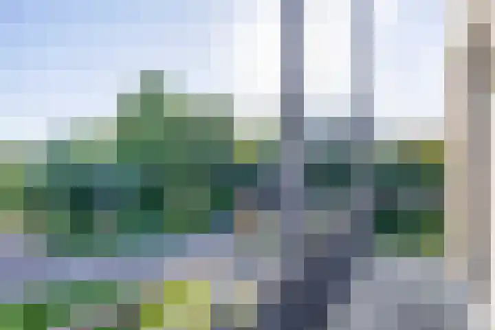 Astersingel 80 Berkel en Rodenrijs thumbnail 25