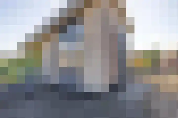 Astersingel 80 Berkel en Rodenrijs thumbnail 36