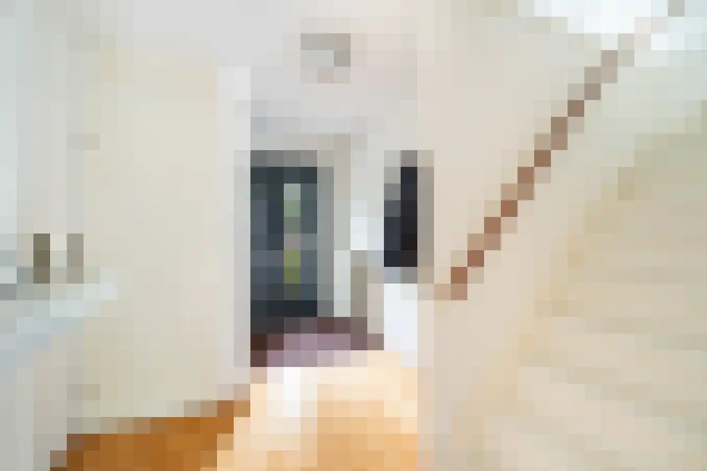 Astersingel 90 Berkel en Rodenrijs thumbnail 6