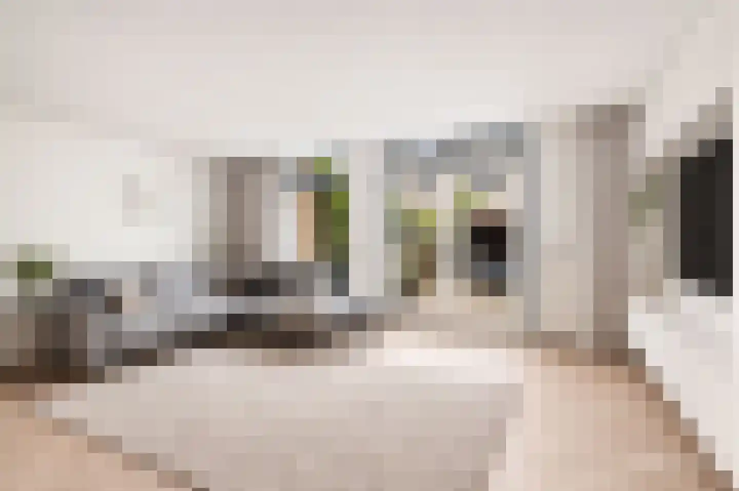 Astersingel 90 Berkel en Rodenrijs thumbnail 7
