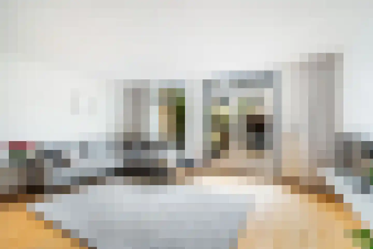Astersingel 90 Berkel en Rodenrijs thumbnail 8