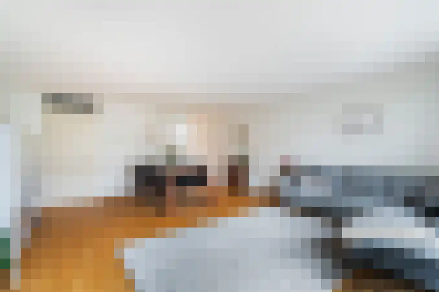 Astersingel 90 Berkel en Rodenrijs thumbnail 9