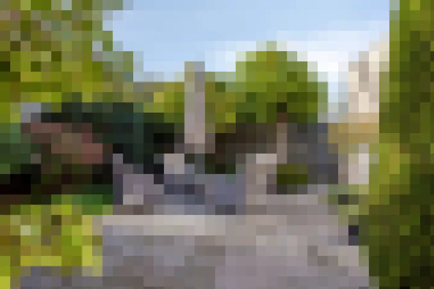 Asterstraat 11 Almere thumbnail 5