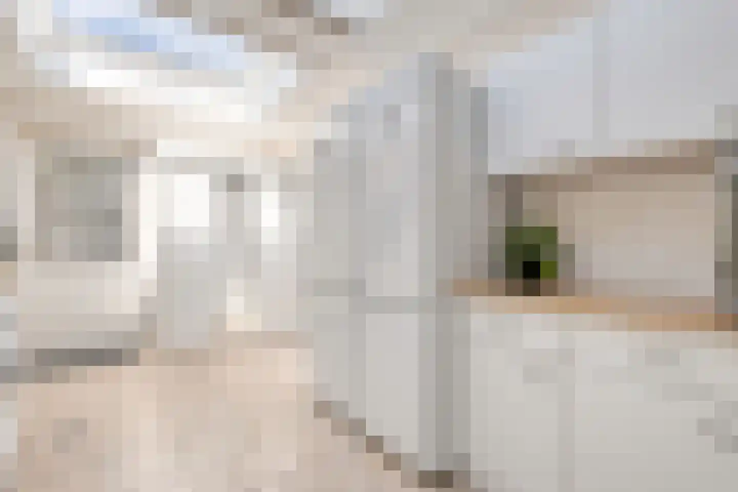 Asterstraat 11 Dedemsvaart thumbnail 15