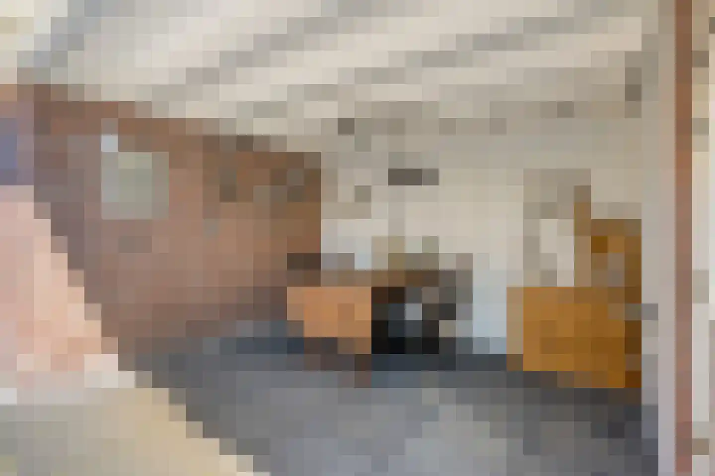 Asterstraat 11 Dedemsvaart thumbnail 33