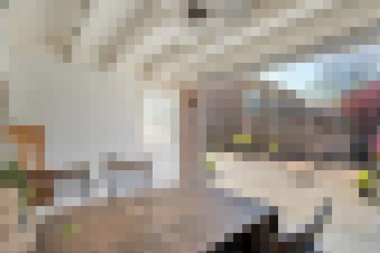 Asterstraat 11 Dedemsvaart thumbnail 34