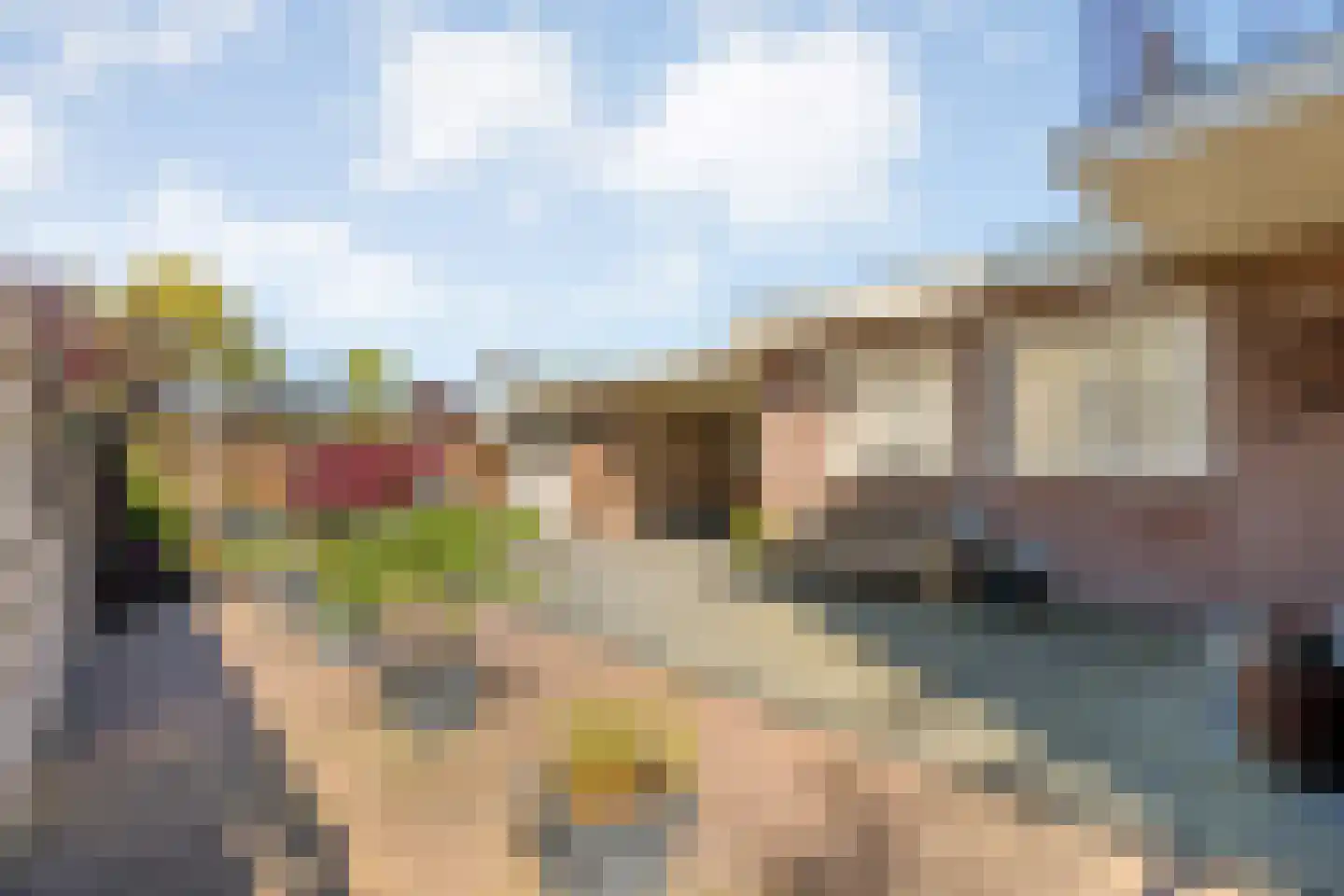 Asterstraat 11 Dedemsvaart thumbnail 36