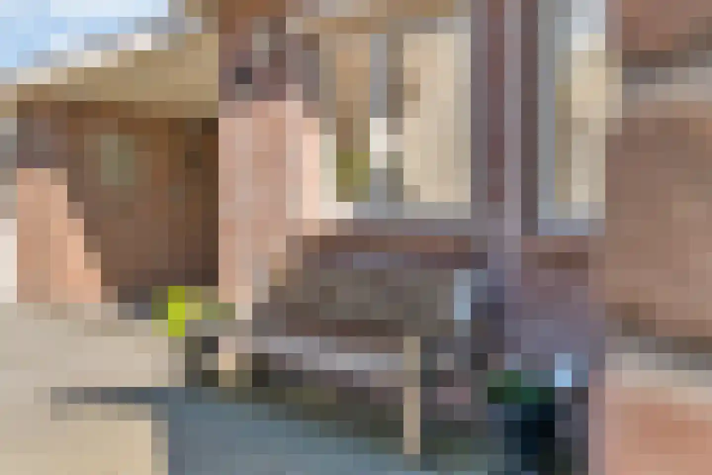 Asterstraat 11 Dedemsvaart thumbnail 37