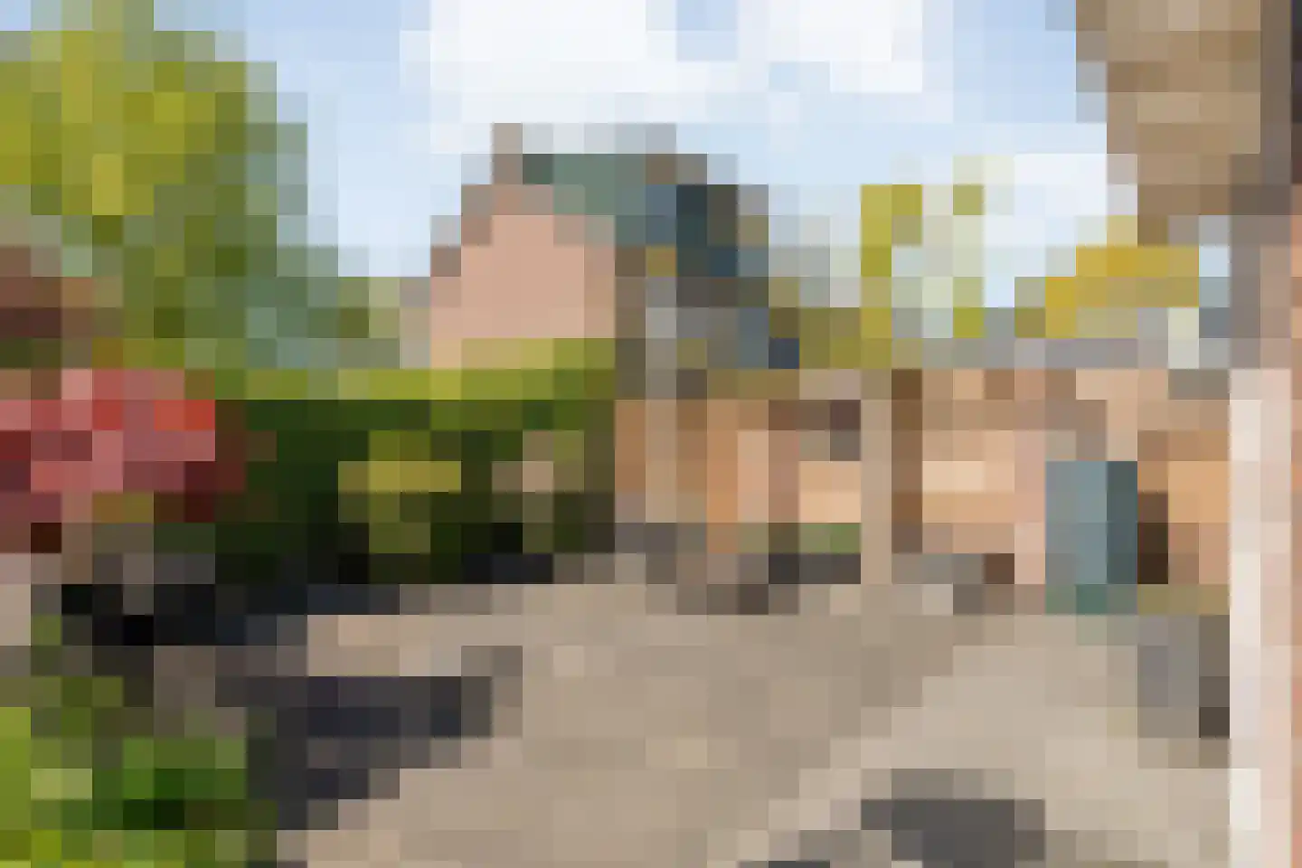 Asterstraat 11 Dedemsvaart thumbnail 38