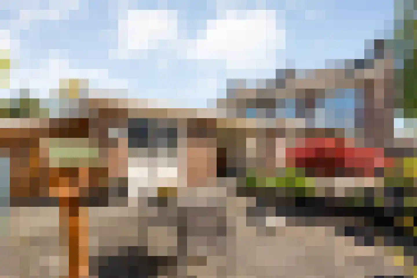 Asterstraat 11 Dedemsvaart thumbnail 39