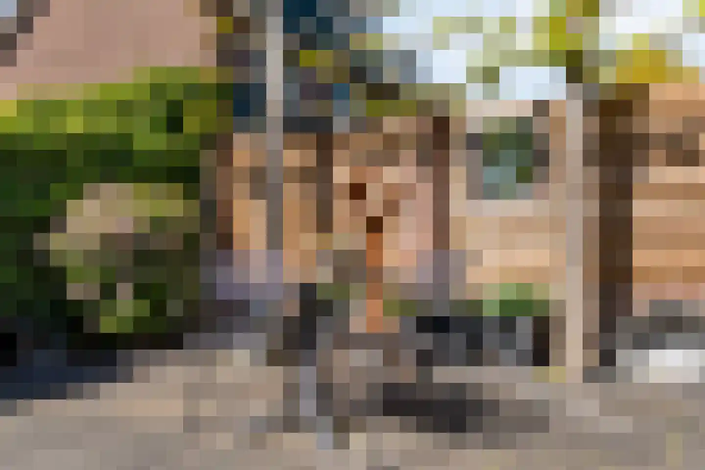 Asterstraat 11 Dedemsvaart thumbnail 41