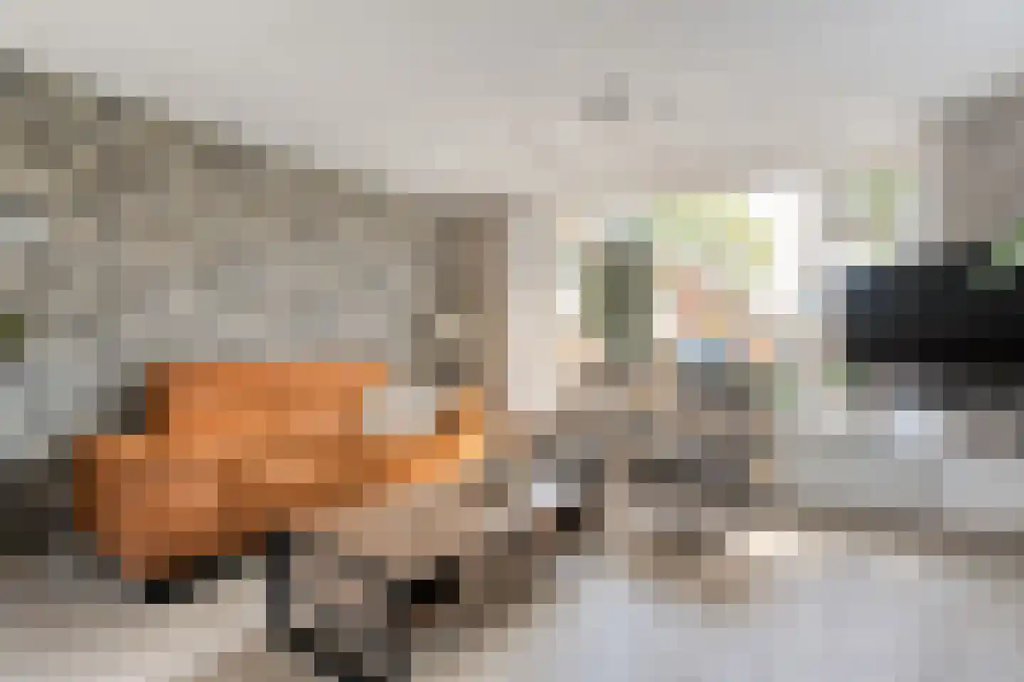 Asterstraat 11 Dedemsvaart thumbnail 5