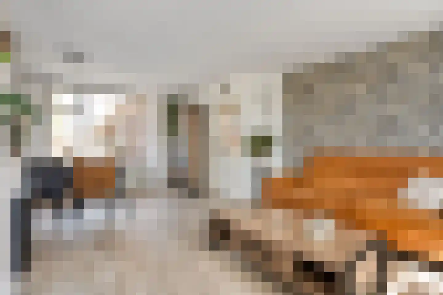 Asterstraat 11 Dedemsvaart thumbnail 6