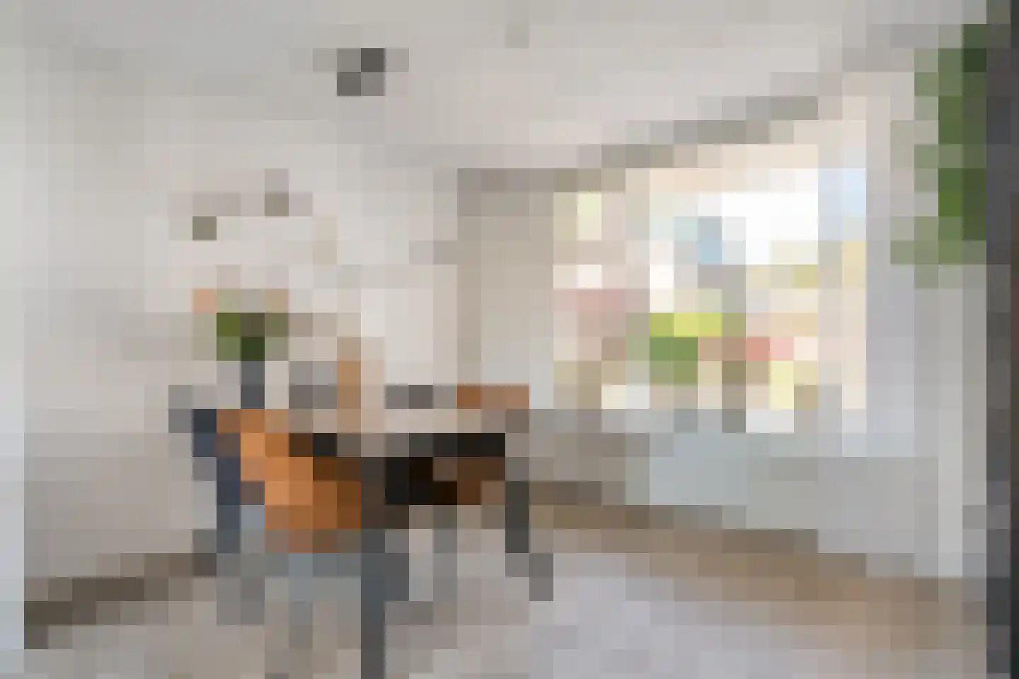 Asterstraat 11 Dedemsvaart thumbnail 8
