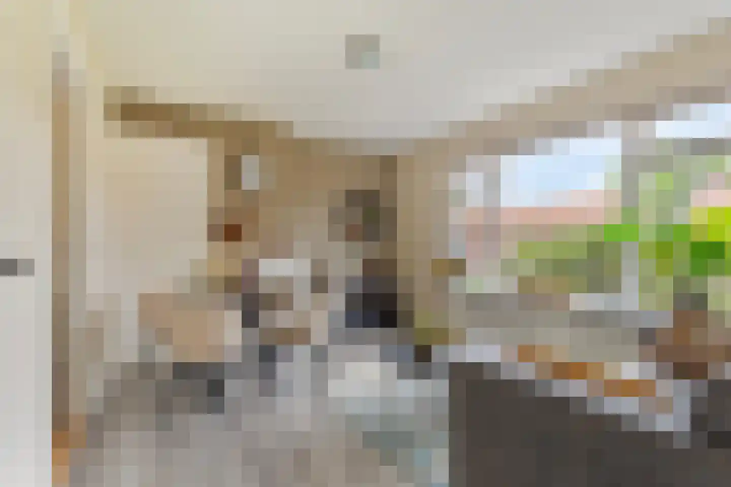 Asterstraat 11 I Hengelo thumbnail 7