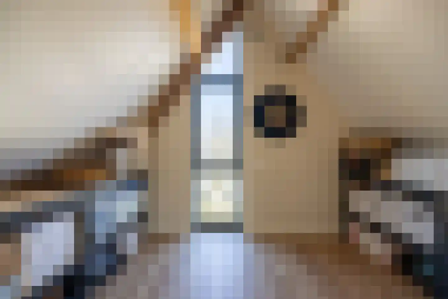 Asterstraat 111 Doetinchem thumbnail 47