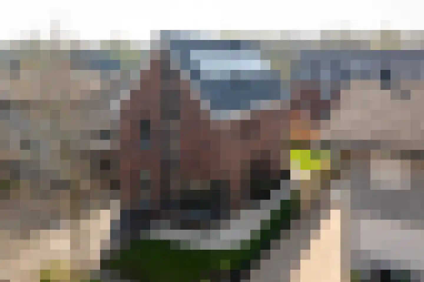 Asterstraat 111 Doetinchem thumbnail 53