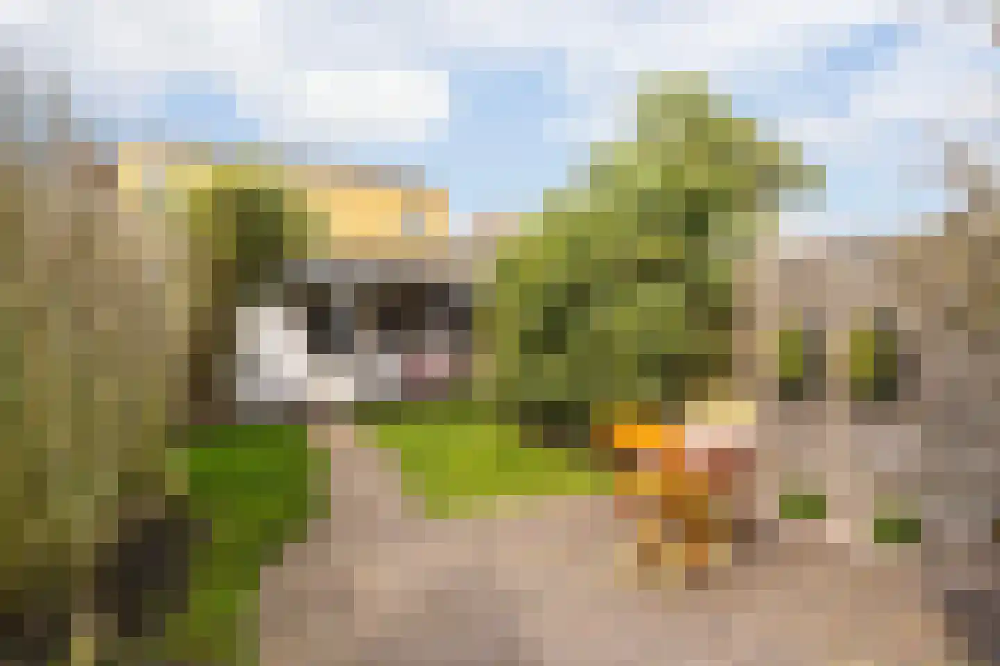 Asterstraat 12 Amersfoort thumbnail 37