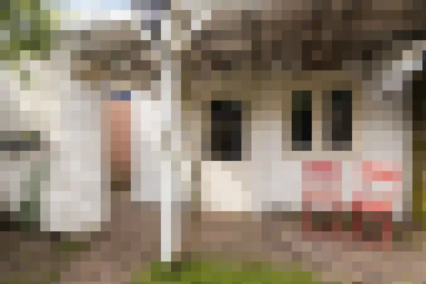 Asterstraat 12 Amersfoort thumbnail 39