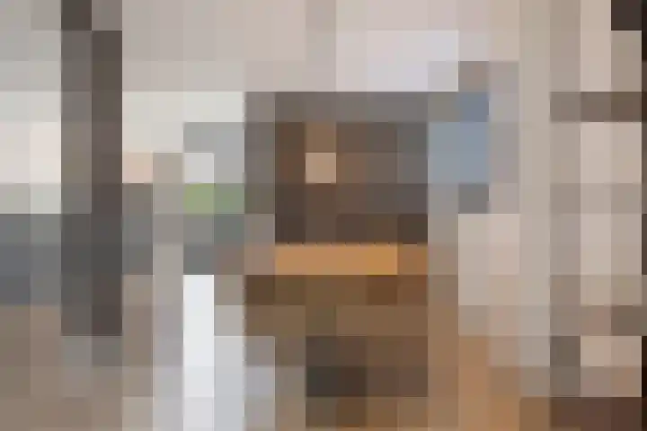 Asterstraat 14 Heesch thumbnail 13