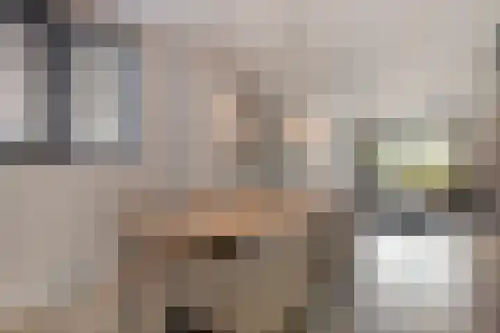Asterstraat 14 Heesch thumbnail 14