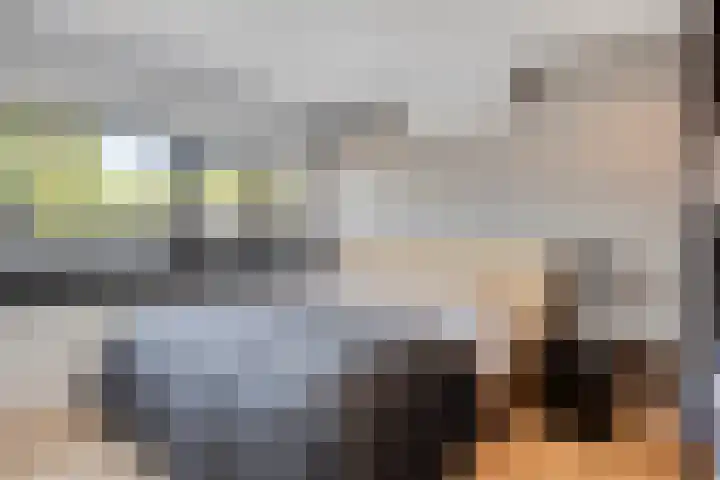 Asterstraat 14 Heesch thumbnail 24