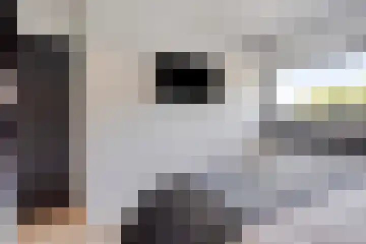 Asterstraat 14 Heesch thumbnail 25