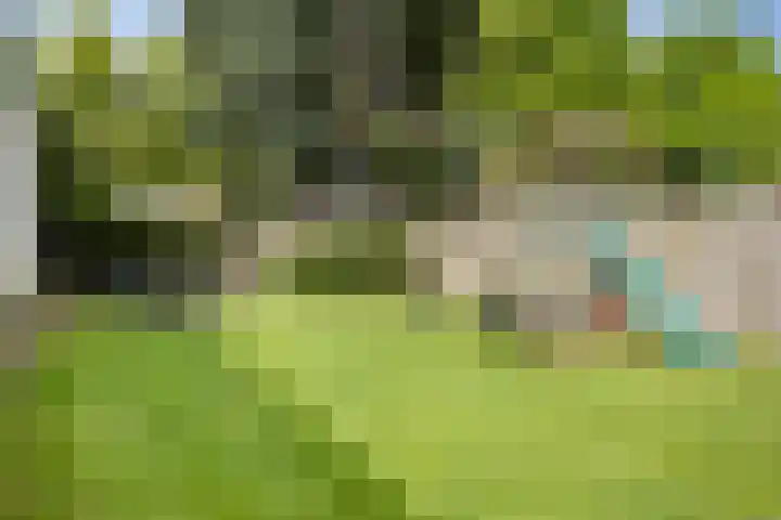 Asterstraat 14 Heesch thumbnail 38