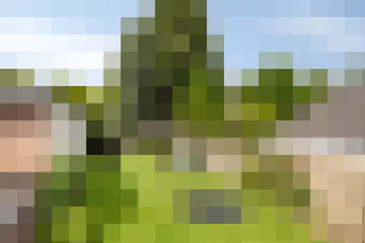 Asterstraat 14 Heesch thumbnail 41