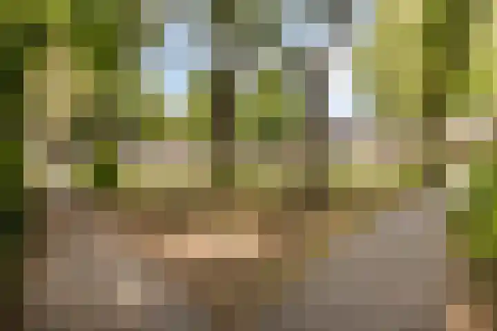 Asterstraat 14 Heesch thumbnail 43