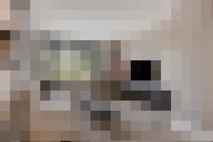 Asterstraat 14 Heesch thumbnail 8