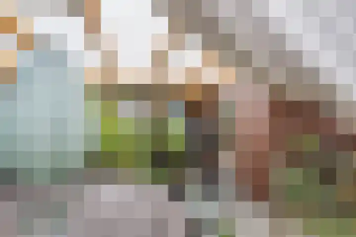 Asterstraat 14 Katwijk thumbnail 29
