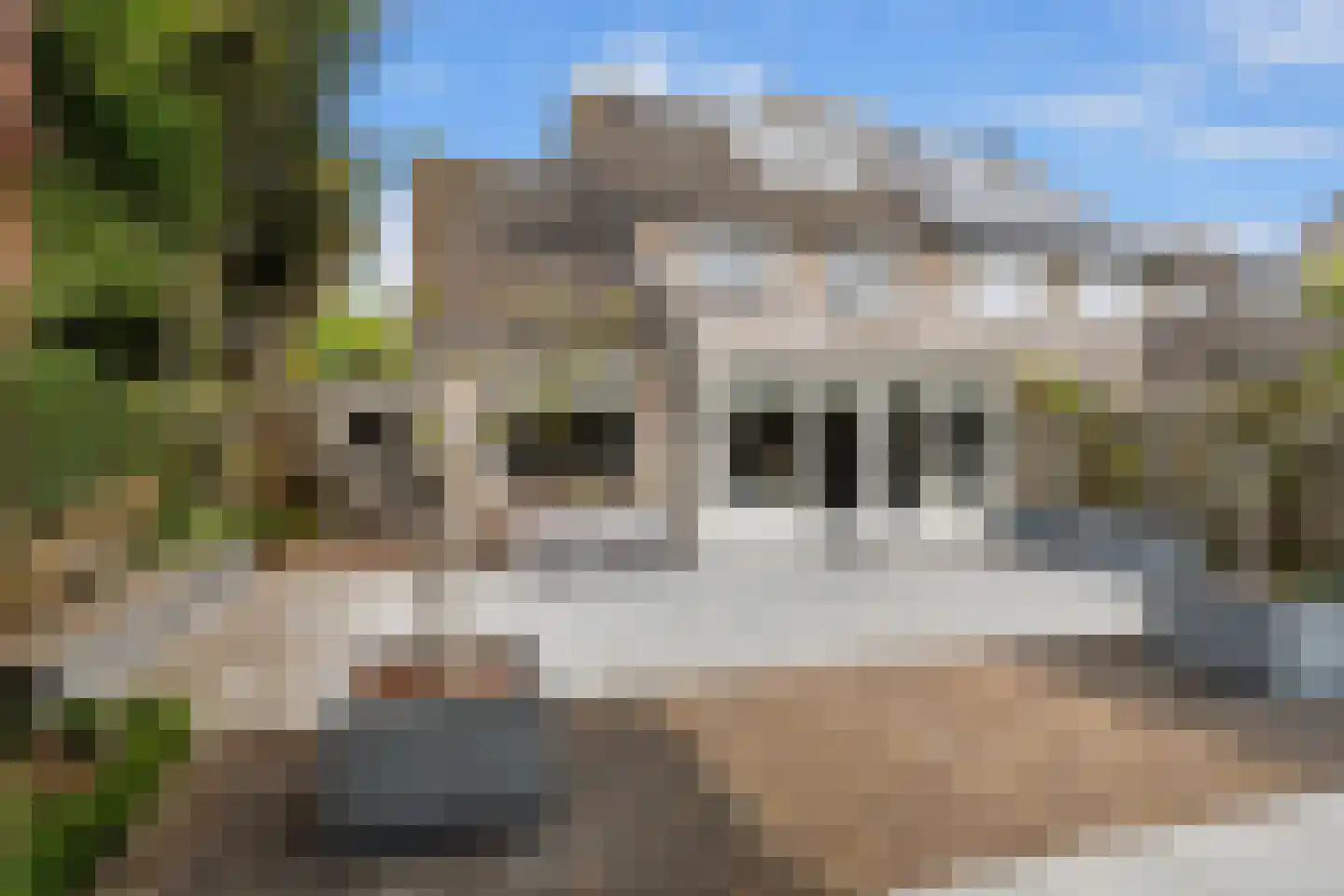 Asterstraat 14 Klaaswaal