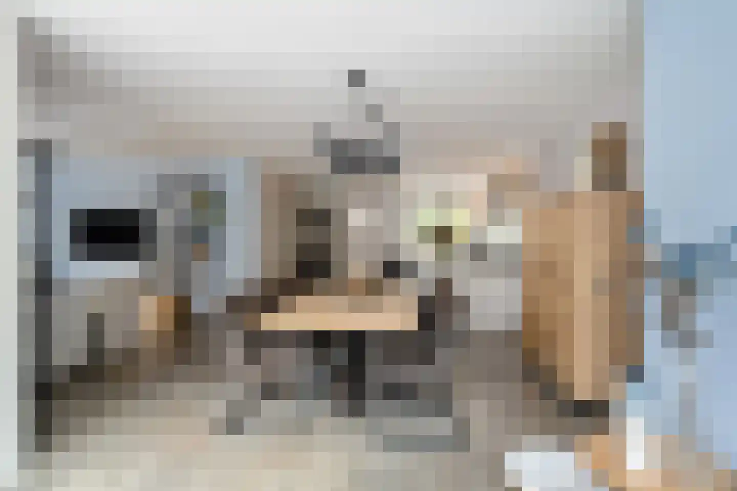 Asterstraat 14 Klaaswaal thumbnail 11