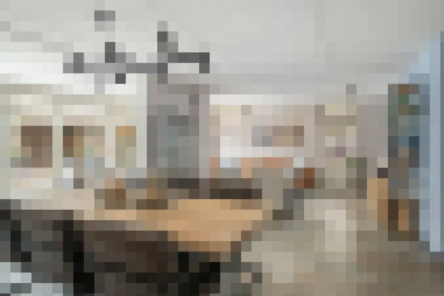 Asterstraat 14 Klaaswaal thumbnail 12