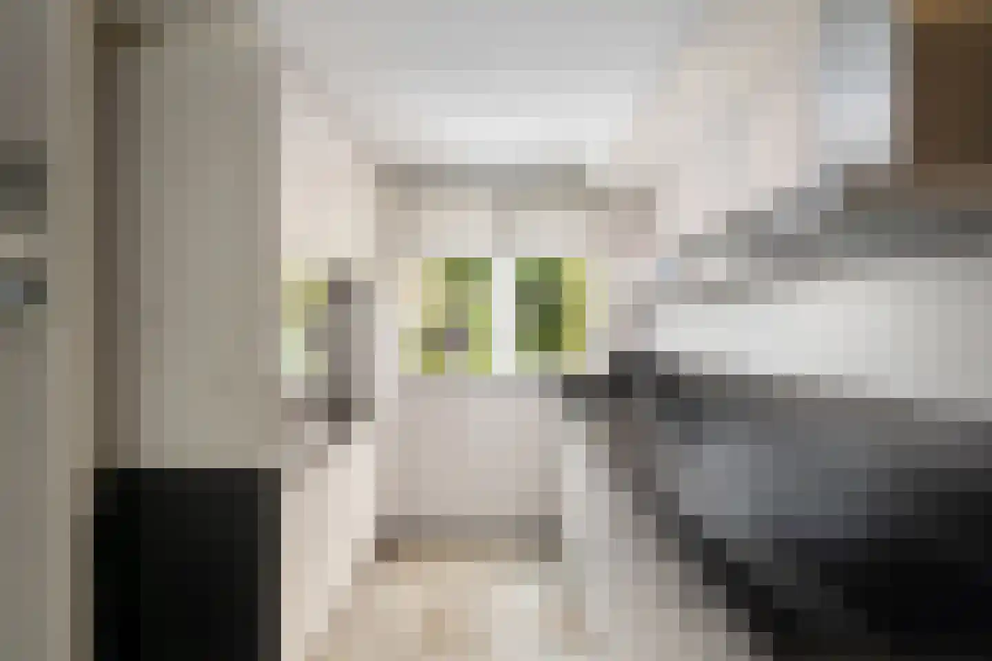 Asterstraat 14 Klaaswaal thumbnail 15