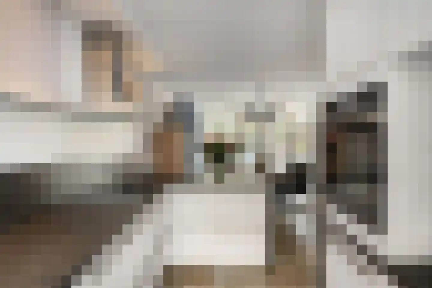 Asterstraat 14 Klaaswaal thumbnail 16