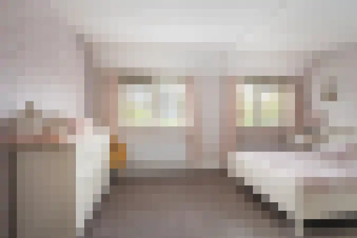 Asterstraat 14 Klaaswaal thumbnail 23