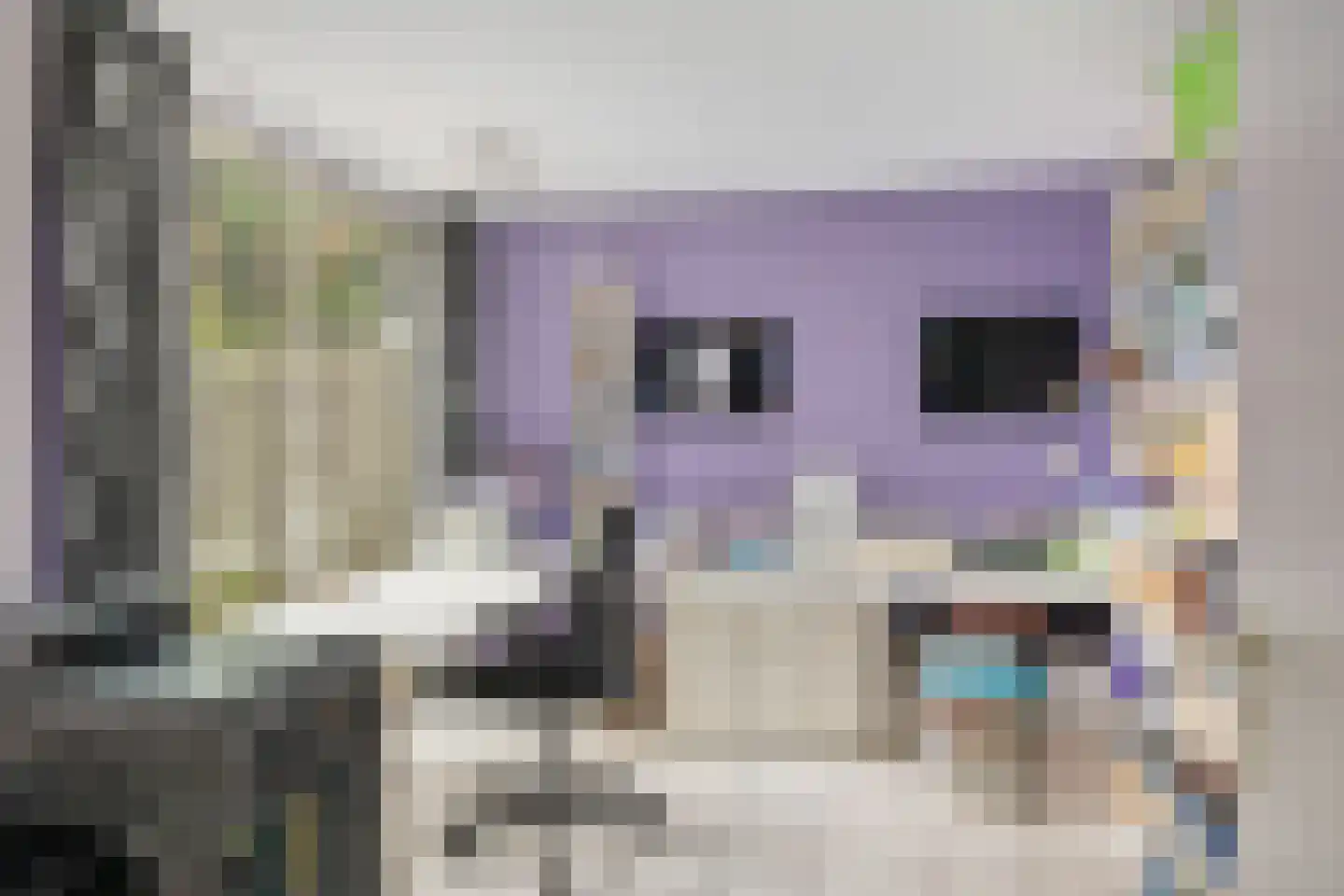 Asterstraat 14 Klaaswaal thumbnail 34