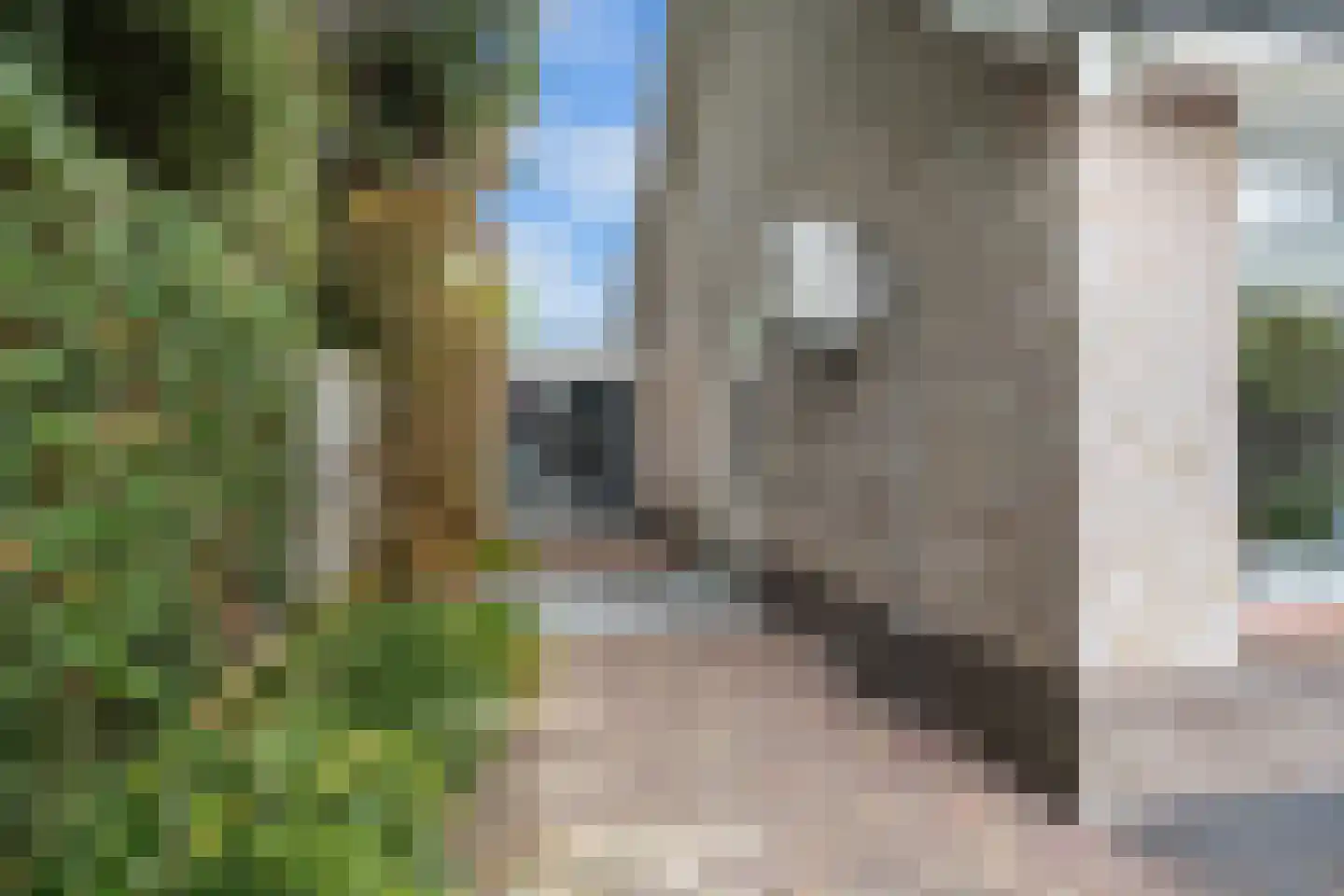 Asterstraat 14 Klaaswaal thumbnail 41
