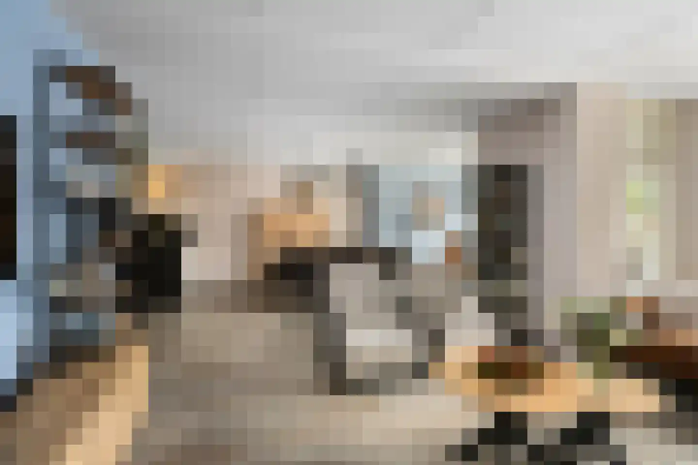 Asterstraat 14 Klaaswaal thumbnail 8