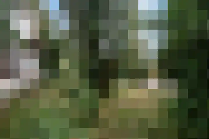 Asterstraat 14 Wierden thumbnail 26