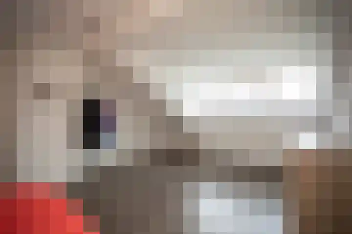 Asterstraat 14 Wierden thumbnail 39