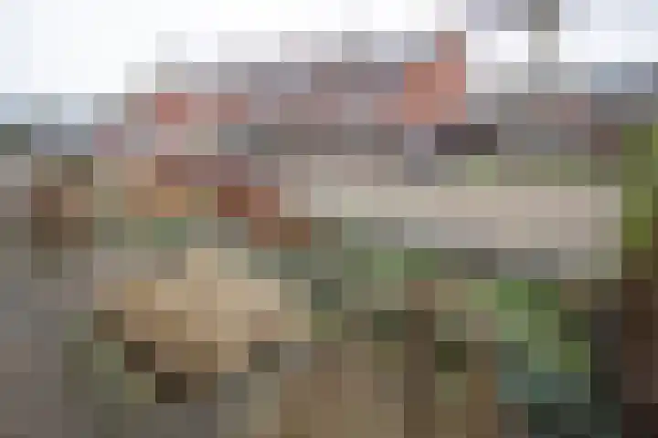 Asterstraat 14 Wierden thumbnail 53